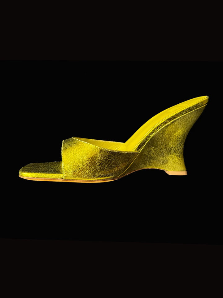 Lido Wedge, Goldfinch MARYAM NASSIR ZADEH