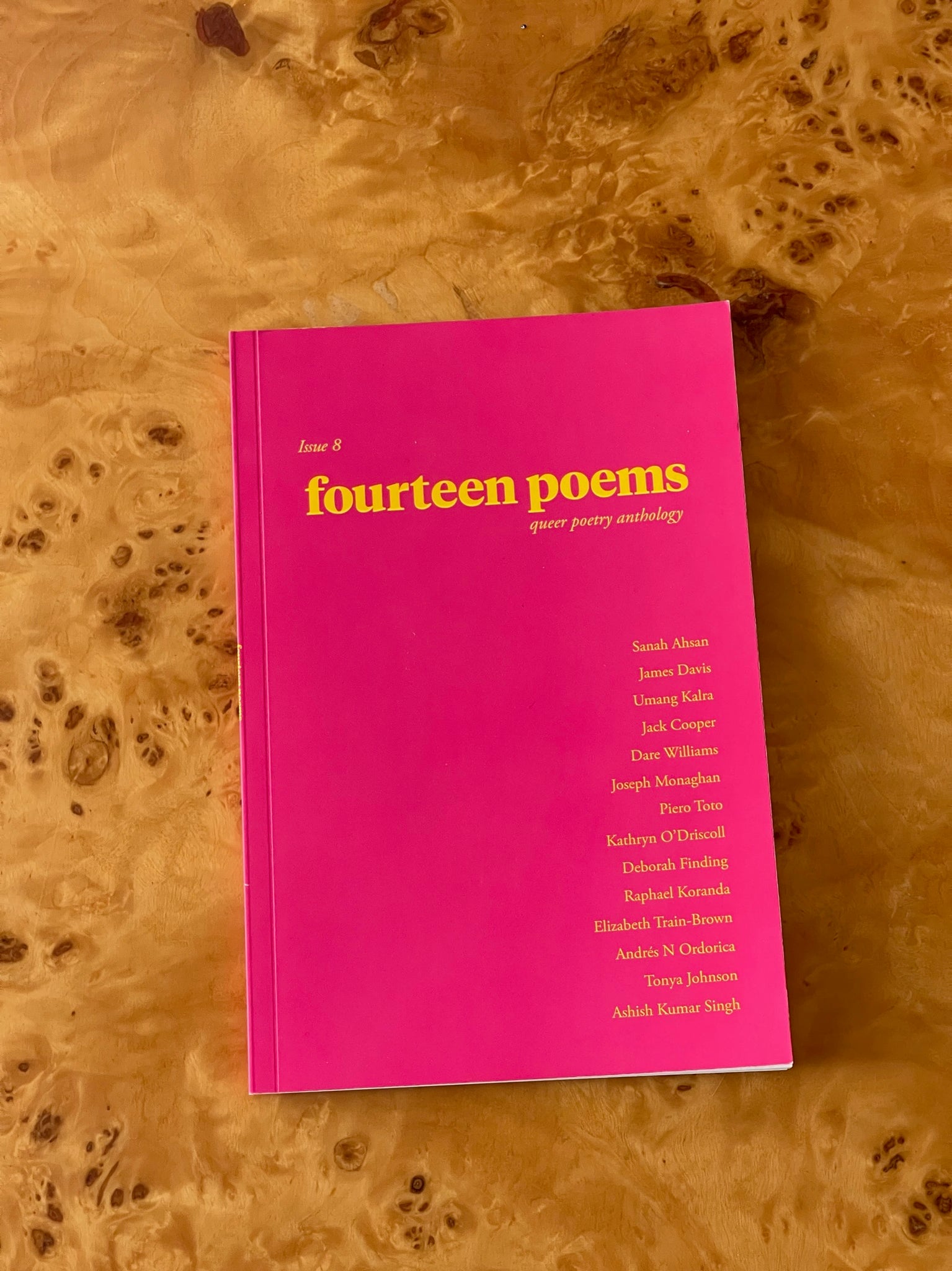 Fourteen Poems, Issue 8
