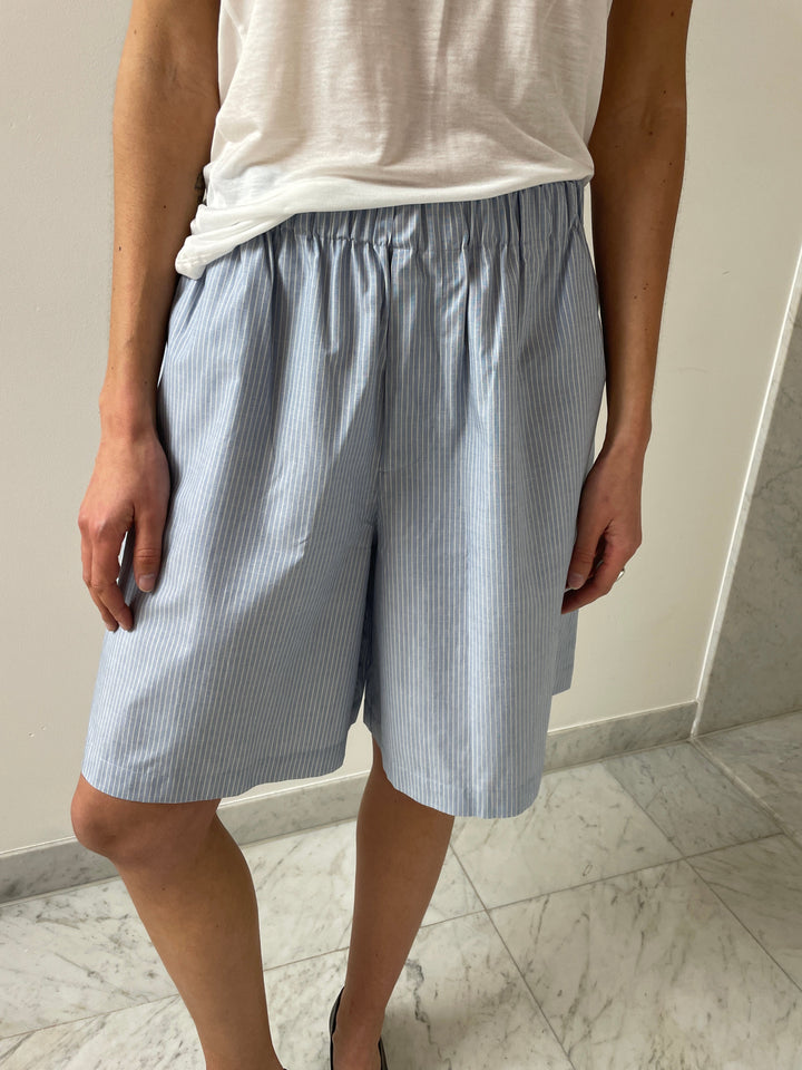 Claude Shorts, Blue Stripe BASERANGE