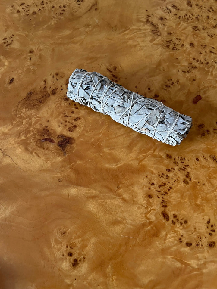 Wild White Sage INCAUSA